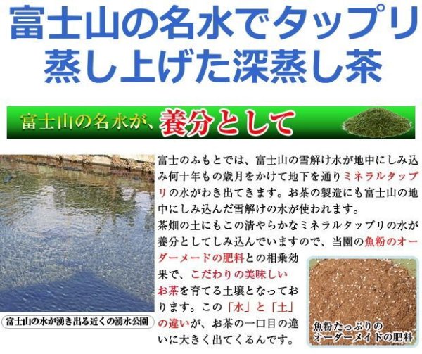 画像2: お茶 深蒸し茶 荒造り仕上げ 200g 日本茶 煎茶 緑茶 茶葉 100g×2 (2)