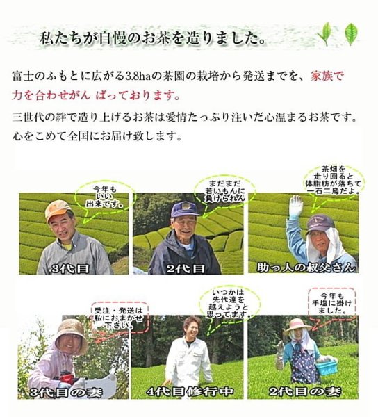 画像5:  べにふうき茶 緑茶 粉末スティック 静岡産自園100% べにふうき 0.8g×30個 (5)