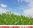 画像4:  べにふうき茶 緑茶 粉末スティック 静岡産自園100％ べにふうき 0.8g×30個 (4)