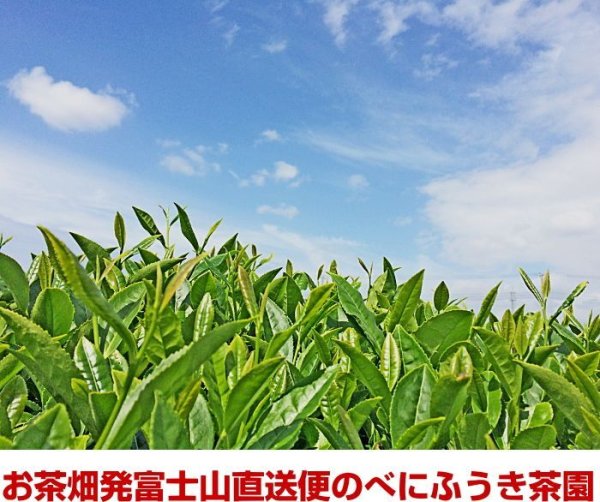 画像4:  べにふうき茶 緑茶 粉末スティック 静岡産自園100% べにふうき 0.8g×30個 (4)
