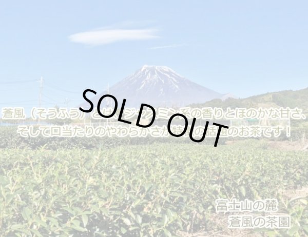 画像3: 富士山 蒼風 ティーバッグ2.5g×12ｐ ケルセチン お茶 葉 緑茶 日本茶 煎茶 緑茶 茶 (3)
