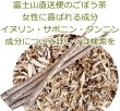 画像2: 皮丸ごと ごぼう茶 ティーバッグ2.5g×10p 国産 牛蒡 健康茶 お茶 葉 日本茶 (2)