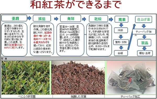画像4: 和紅茶 ティーバッグ　2.5ｇ×12個　2袋セット (4)